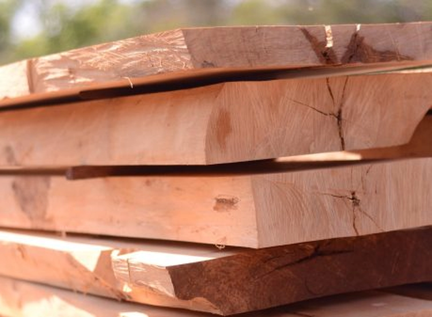 August Jungbluth GmbH & Co. KG - Holzhandel -  Wohnraum mit hochwertigen Holzprodukten