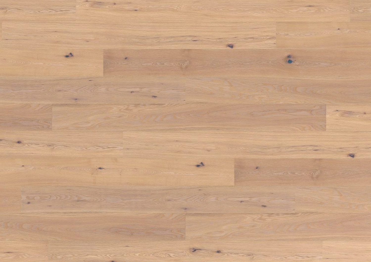 August Jungbluth GmbH & Co. KG - Holzhandel - Bunda