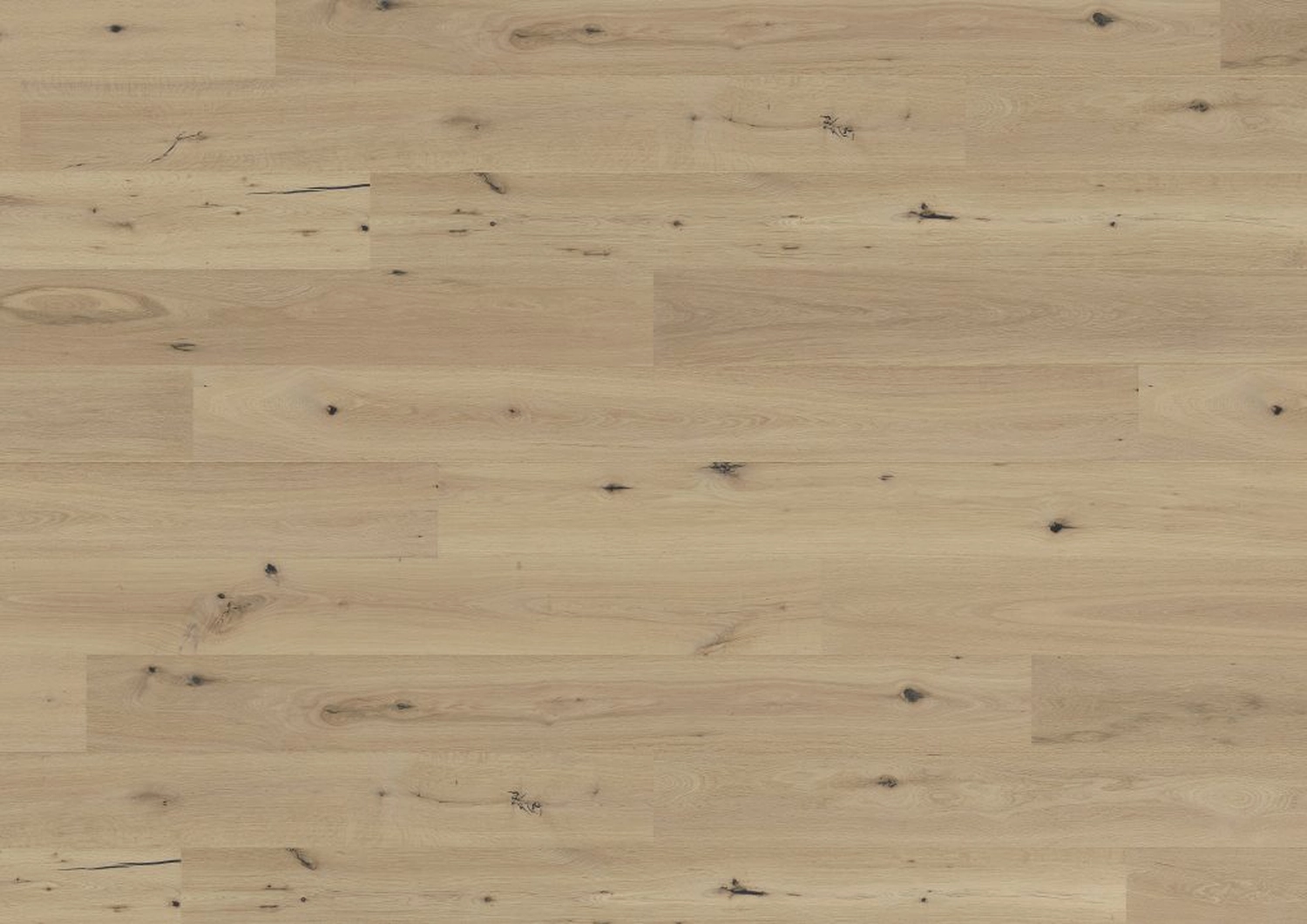 August Jungbluth GmbH & Co. KG - Holzhandel - pollux