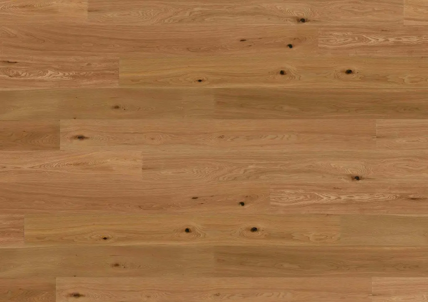 August Jungbluth GmbH & Co. KG - Holzhandel - sirius