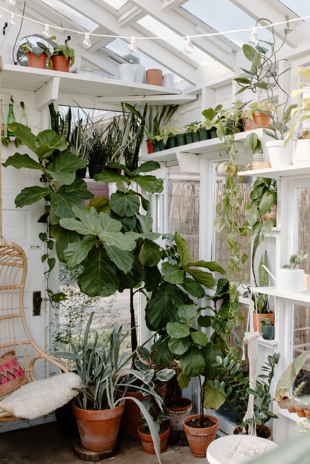 Wintergarten Temperatur