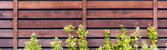Sichtschutz im Garten – Effektive Ideen für Sie