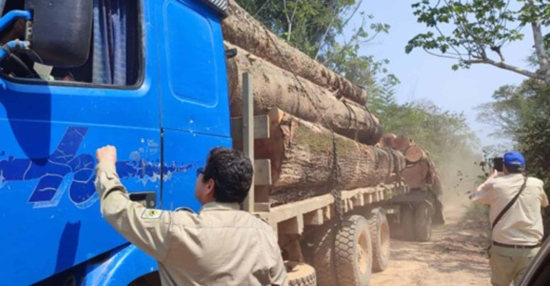 Mann klopt an die Fahrertür eines voll beladenen Holzlasters im Regenwald in Bolivien