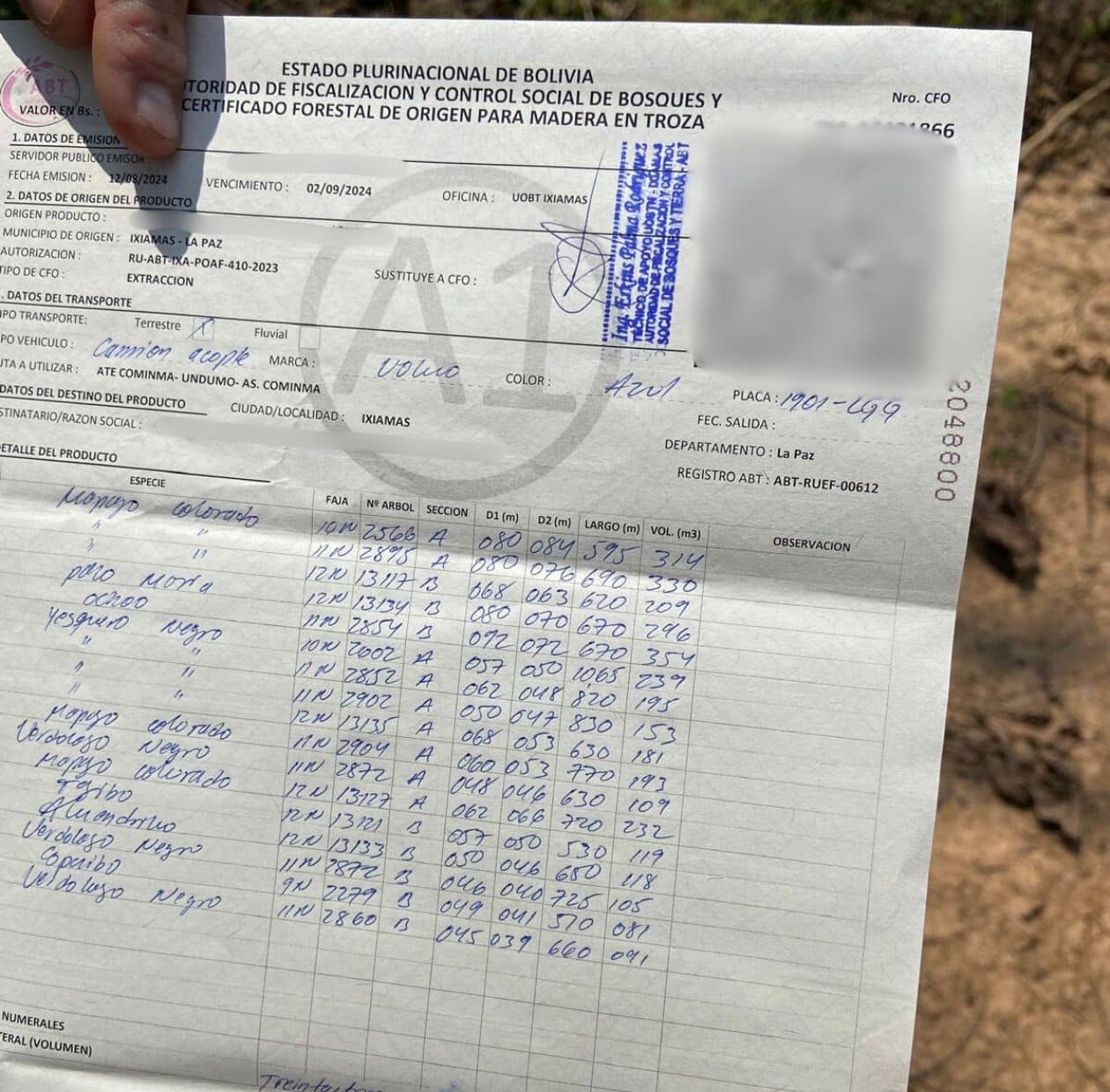 Protokoll A1 für den vorschriftsgemäßen Abtransport der Stämme