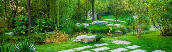 Naturnaher Garten: So gestalten Sie einen natürlichen Garten