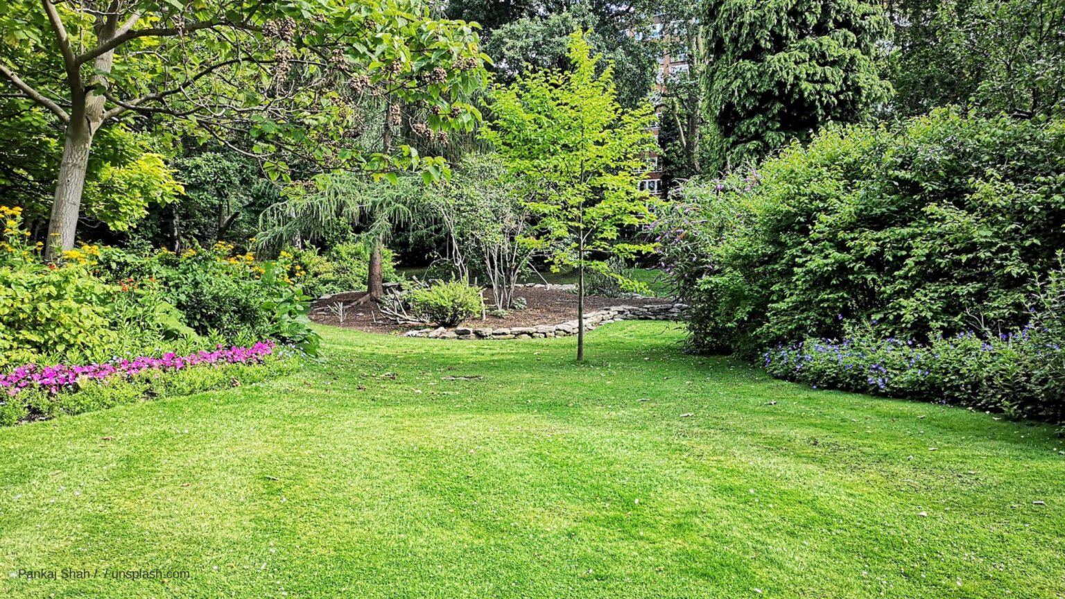 Naturnaher Garten 7 Tipps für mehr Artenvielfalt Jungbluth