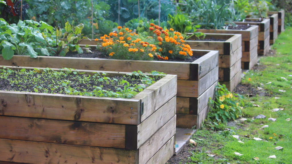 Mit PalisadenHolz ein Hochbeet bauen Jungbluth
