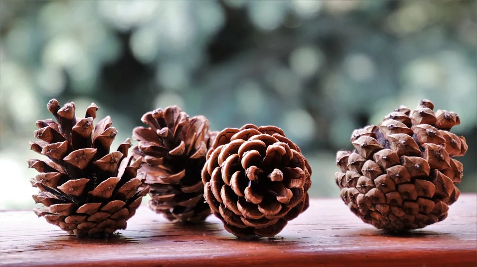 Weihnachtsdeko holz zapfen