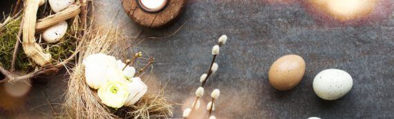 DIY-Frühlingsdeko: Holzdeko einfach selber basteln