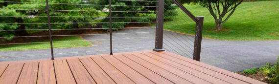 Thermoholz: Eigenschaften und Verwendung