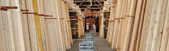 Dauerhaftigkeits­klassen von Holz: Das sollten Sie wissen, bevor Sie bauen