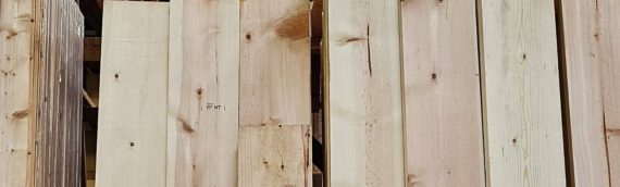 Was ist Weichholz und wofür eignet es sich?